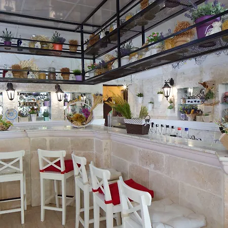 Andalucia Complex Elenite